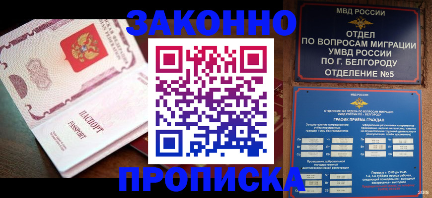 временная регистрация для школы в Новом Осколе